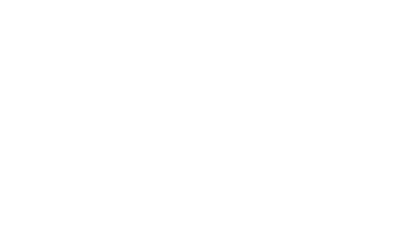 GST Shield